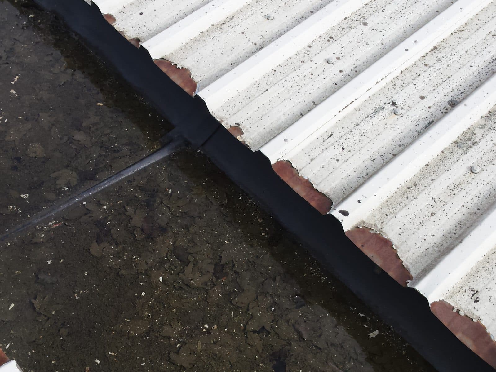 The eaves of a profiled metal roof over a gutter holding debris, the sheet ends coated
