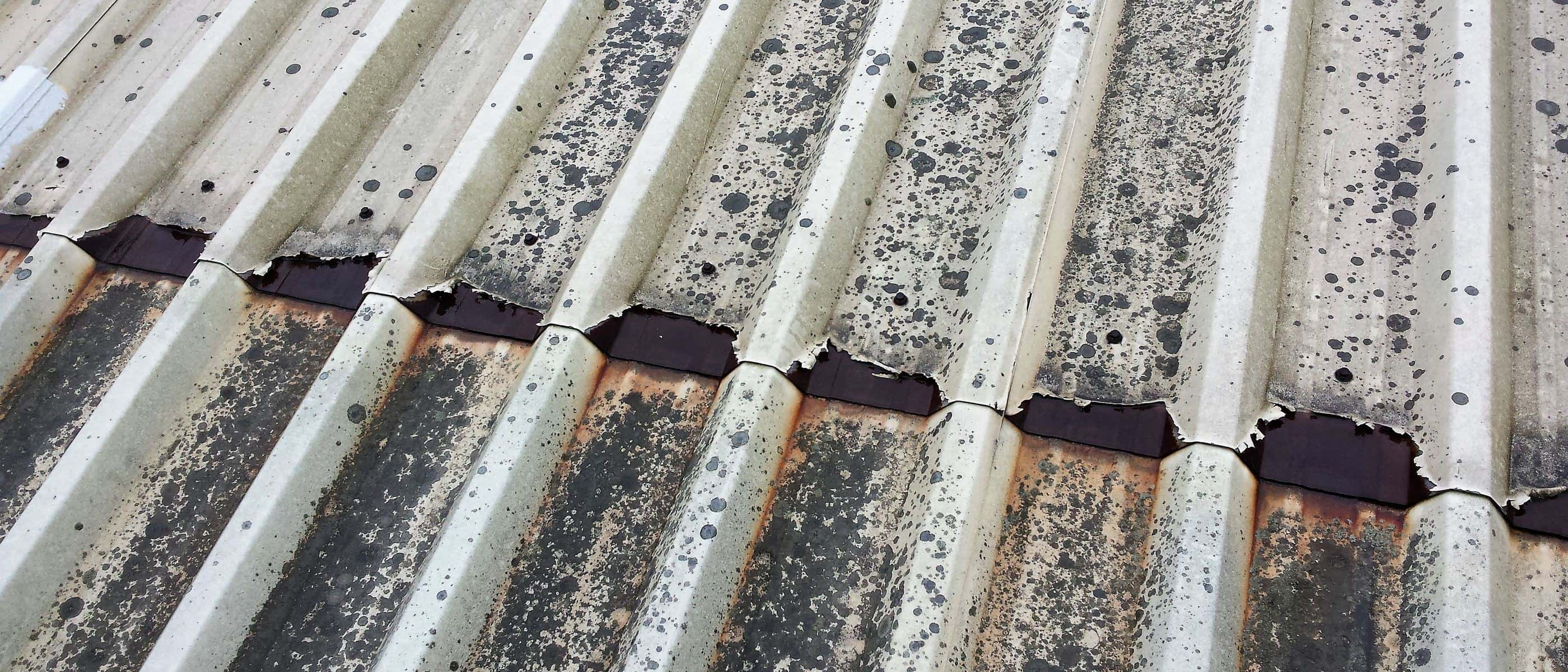 A corroded end lap running across a moss-speckled profiled metal roof, the sheet ends eaten away and rust staining the sheets below